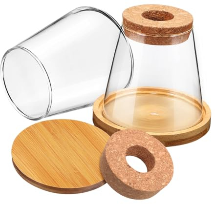 FONDOTIN 2 pièces Lot de Vases Hydroponiques Verre avec Support et Bouchon Perforé Stations de Propagation pour Bouturage Décoration Élégante pour Maison et Bureau