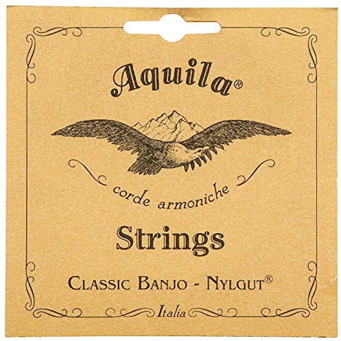 Aquila Medium 5B New Nylgut Banjo 5-String Set (DBGDG-Tuning)