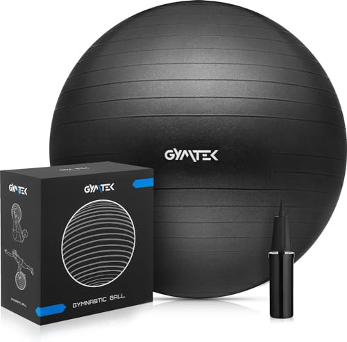 Ballon de Gymnastique 65 cm avec Pompe - Pilates Balles d'exercices Fitness - Ballon pour l'exercice et Le Yoga - Anti-éclatement Fitness Balles - pour Entraînement Abdominal et des Épaules