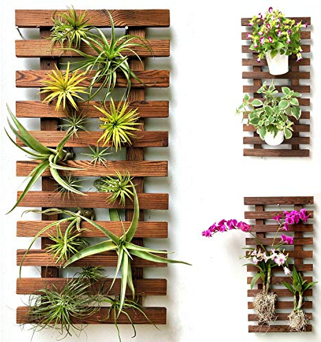 ShopLaLa Maceta Colgante de Madera para Plantas de Interior, Soporte para Plantas, Soporte para Plantas de Aire, Soporte para suculentas, jardín Vertical, decoración de Pared Grande para Sala de