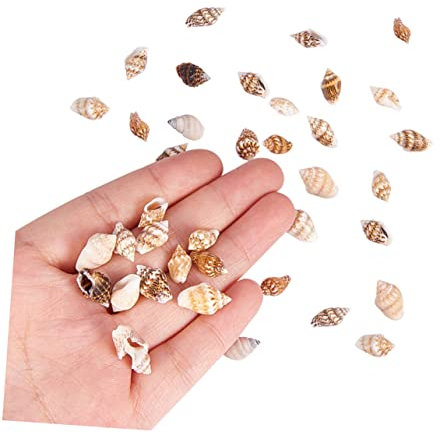 BESPORTBLE Kleine Natürliche Muschel Deko Für Zuhause 1 Box Mit Bunten Meeresmuscheln Für Bastelprojekte Und Fischglas Dekoration Ideal Für Strand Und Unterwasserwelt Deko