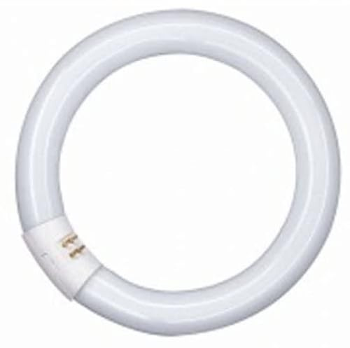 Branded 40w 240v G10q Cap Circular Fluorescent Tube 406mm Diameter New