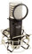 Samson Velvet R201 A Studio Condenser Microphone with Accessories