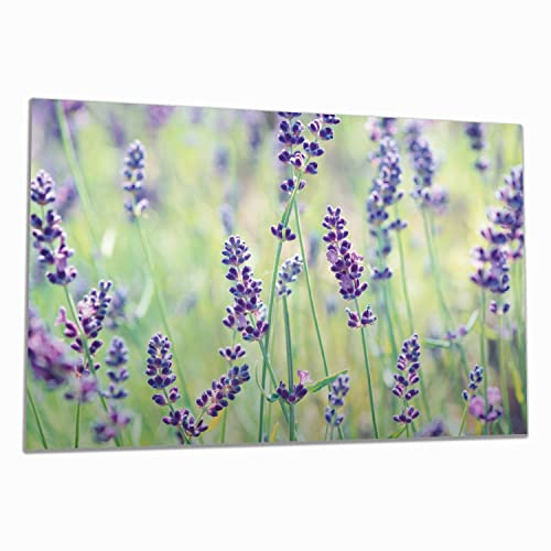 Wallario Herdabdeckplatte/Spritzschutz aus Glas, 1-teilig, 80x52cm, für Ceran- und Induktionsherde, Lila Blumenfreude - Violette Pflanzen auf der Wiese