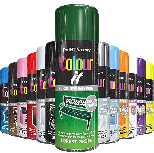 AlezyB 1x Forest Green All Purpose Spray Paint 400ml Professional Quality and Fantastic Finish, Interior, Exterior, Household Multipurpose Spray for Metal | Plastic | Wood | Glass