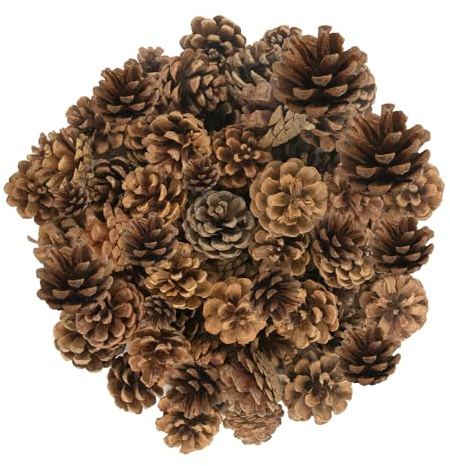 Celebration Directre Lot de 50 mini cônes de pin pour décorations de Noël, couronnes de Noël, accessoires de fabrication pour Thanksgiving, bricolage, artisanat, décoration d'arbre de Noël