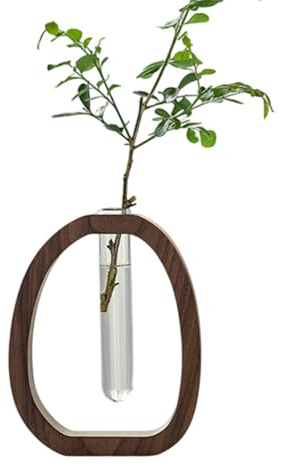 Fyrdyn Jarrones para Propagación de Plantas | Jarrón Hidropónico para Plantas de Interior - Tubos de Ensayo con Soporte de Madera Decorativo para Escritorio Dormitorio Sala de Estar Hogar Fiesta