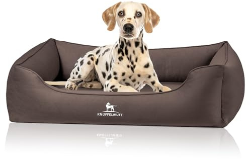 Knuffelwuff orthopädisches Hundebett Oliver, S - Dunkelbraun | Easy Clean Wildlederoptik | Memory Foam | wasserabweisend waschbar | gelenkschonend robust für kleine bis große Hunde