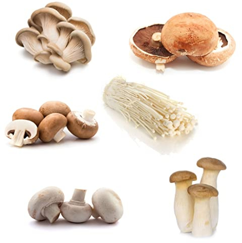 Fresh Mushroom Selection Box