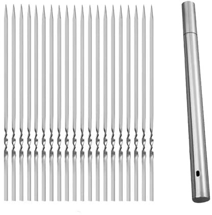 Eabdice 20 Piezas Brochetas de Barbacoa, Pinchos Barbacoa, Brochetas de con Tubo de Almacenamiento Metal Planas Barbacoa Pinchos Asar para BBQ Carne Aperitivos de Fiesta