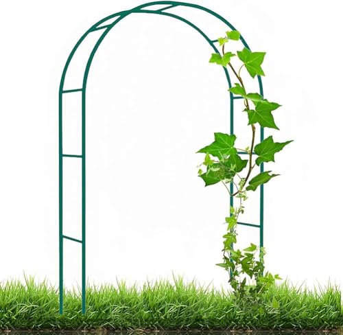 WCQSYY Arche De Jardin en Métal 120Cm 140Cm 240Cm 300Cm 350Cm Large Arche De Mariage Arceau À Rosiers Plante Grimpantes, Arche À Rosiers Exterieur Arche De Jardin,Blanc,W2.4M*H2.2M