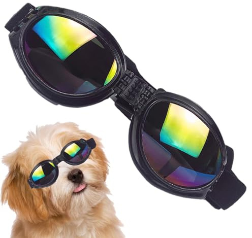 glasögon för hundar – hundsolglasögon, hundglasögon | UV