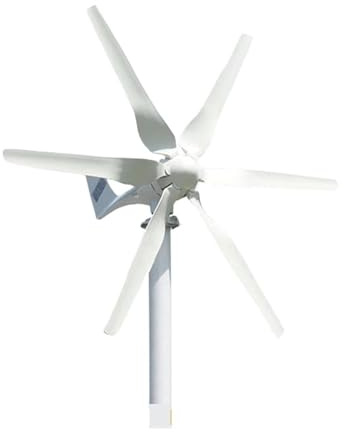 QZCX Aerogenerador Eolico, Turbina neradora de Viento de energía Libre, Bricolaje, 1kW, for Granja doméstica, 1000W, 12V, 24V, 48V, Kit de Molino de Viento Horizontal(24V_1000W)