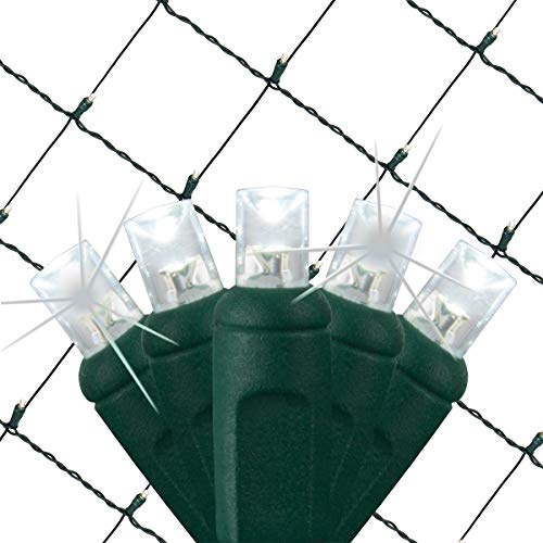 Wintergreen SoftTwinkle Pulsing Net Lights, Outdoor Twinkling Christmas Lights, Green Wire (70 Lights, 4' x 6' Net, Cool White)