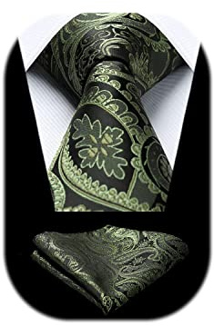 HISDERN Herren Hochzeit Krawatten und Einstecktuch Set Paisley Krawatte Jacquard Einfarbige in Verschiedenen Farben