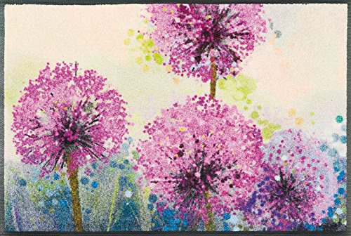 wash+dry Fußmatte, Alium 50x75 cm, innen und außen, waschbar