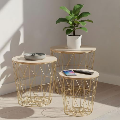 Levandeo Set med 3 sidobord, metallkorg, trådkorg, guld, soffbord, lock, förvaring, design, dekoration, bord