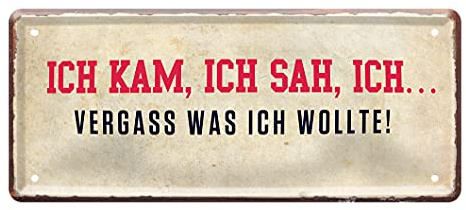 Ich kam ich sah ich vergass was ich wollte - lustiges Metallschild mit witzigen Spruch für Arbeitsplatz Büro Betrieb Firma Werkstatt - Retro Deko Schild - inkl. Blechschild Montagehilfe - 28x12cm