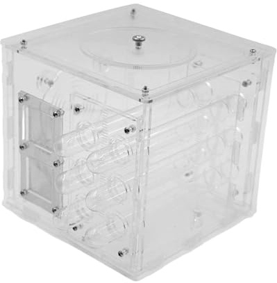 FashionCha Ameisenfarm – Kompaktes Und Transparentes Lernset – Geburtstagsgeschenk für Erwachsene – Geschenkbox – Ameisenfarm Zum Zusammenbauen, 15cmx15cmx15cm
