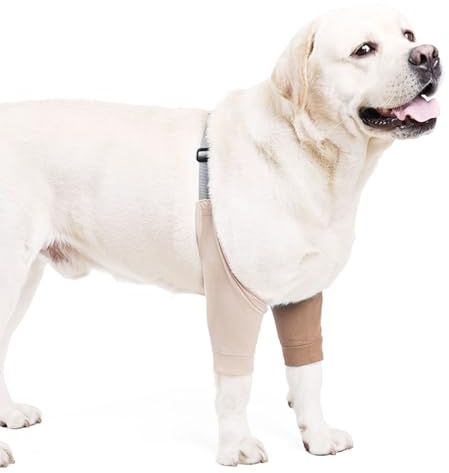MiOYOOW Funda protectora para perro, para dejar de lamer, soporte para articulaciones de codo, patas delanteras de perro, coderas con hebilla ajustable para perros pequeños, medianos y grandes