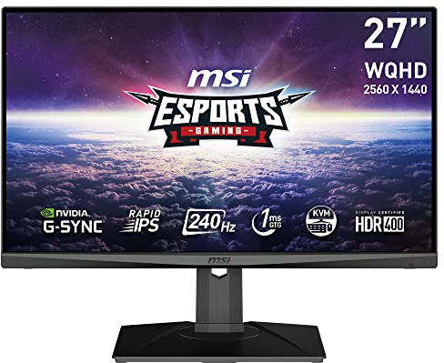MSI Monitor MAG274QRX 27 Plat, WQHD/240 Hz
