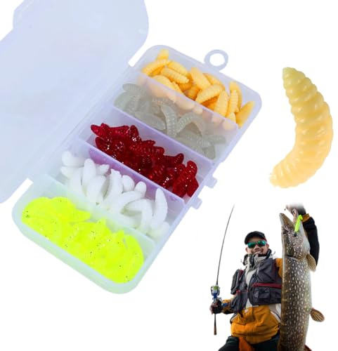 GYCAQAC 100 Piezas Señuelos Pesca Mar y Dulce, Caja Cebos Artificiales con Gancho de Plomo, Gusanos de Plástico Suaves
