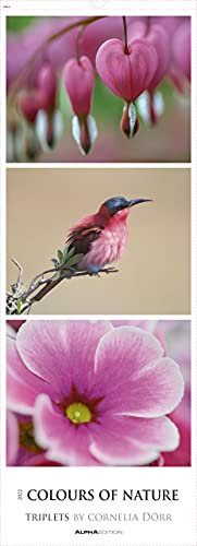 Colours of Nature - Triplets 2022 - Streifenkalender XXL 25x69 cm - Bildkalender im Hochformat - Naturkalender - Wandkalender - Wandplaner: Streifen Naturkalender - - Wand-Kalender