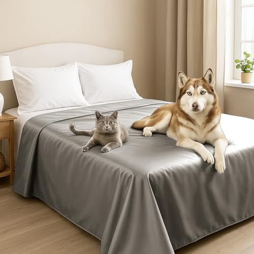 Byour3 - Cubrecama Doble Super Impermeable Animales Colcha Antimanchas Antimoho Protección Cama Individual Queen Size Anti Pelo Gato Perro Niños Manta Lavable (Gris Acero, 180x275cm - Cama 90)