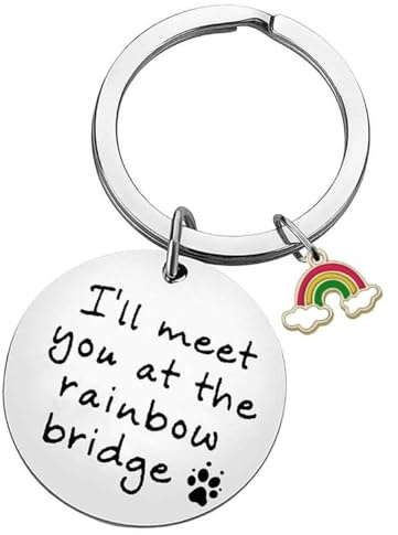 HOKIAMCN Schlüsselanhänger für Haustiere, Gedenkgeschenk mit Aufschrift I'll Meet You at The Rainbow Bridge, Haustierverlust, Geschenk für Hundeliebhaber, Gedenkgeschenke für Haustierbesitzer, mit