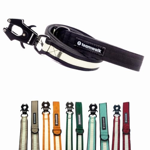 teamwalk® Premium Hundeleine - mit Leuchtstreifen, weicher Polsterung, robuster Schnalle, (Schwarz, Leine Schwarz(130cm)) - perfekt abgestimmte Länge, für eine Gute Leinenführichkeit.
