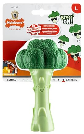 Nylabone, Effet à mâcher extrêmement Fort, Nouveau Jouet à mâcher en Brocoli, Jouet à mâcher Durable au goût de Bacon et de Fromage, Grand, pour Chiens jusqu'à 23 kg