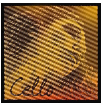 EVAH PIRAZZI GOLD Cellosaite A von Pirastro