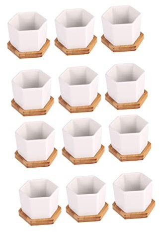 YARNOW Set di Vasi per Bonsai con Vassoi Vasi Esagonali per Piante Contenitori Bianchi per La Conservazione per Larredamento di Casa E Ufficio.