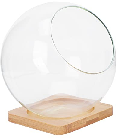 Yardenfun 1satz Glas Sukkulenten Vase Transparent Offene Schräg Mund Blumentopf Für Mikrolandschaft Und Dekoration Mit Bambusmatte Für Zuhause Und Büro