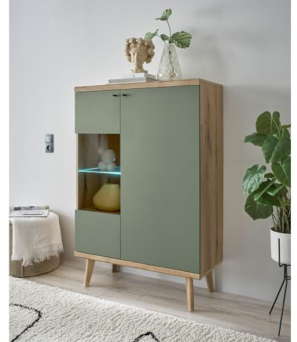 Lomadox Wohnzimmer Esszimmer Vitrine in Eiche mit grün Modern