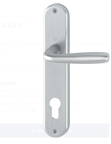 Maniglia in alluminio per porte interne, Maniglia Guarnitura con placca lunga (Distanza foro CILINDRO YALE 85mm, F94-1 alluminio aspetto cromo satinato)