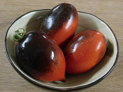 TOMATE BLUE MARZANO 5+ Samen attraktive samenfeste Stabtomate P 614