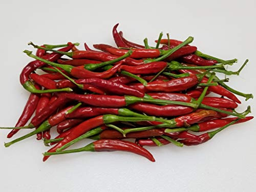 Thai Dragon Pepper 10+ Seeds