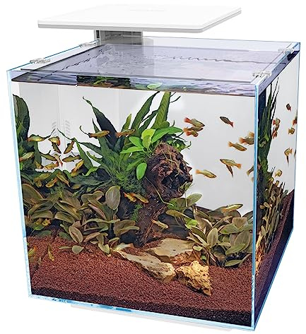 Superfish Qubiq Pro 60 Litres Aquarium White