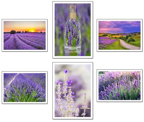 Set 6 cuadros base madera, Decoración Salón Modernos, Dormitorios, Habitación, paisaje, naturaleza, Campos Lavanda Brihuega con colgadores metálicos, (38 x 29 cm cada cuadro)