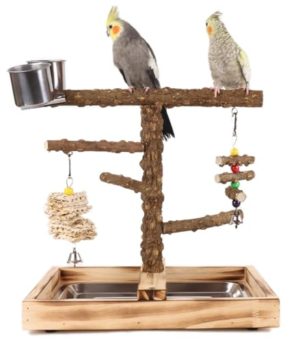 WishesMar Bird Playground Parrot Play Stand with Feeder Cup Climb Ladder and Tray Budgie Playground Cage Exercise Gym Toys for Parakeets Cockatiel, Wooden, Size About 14.0x13.3x10.2 In #K
