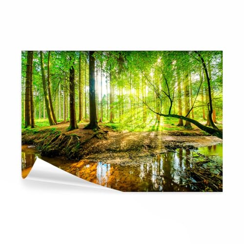 decomonkey Papier Peint Panoramique Foret Nature 350x256 cm Lueur arbres | Décoration murale moderne, Tapisserie décorative pour chambre salon, paysage forêt nature rivière soleil eau