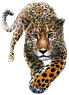 GIVBRO Bügelbilder Thermotransfer-Patches Leopard Applikationen Aufkleber Bügelflicken für T-Shirt DIY Zubehör, L