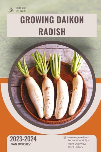 Growing Daikon Radish: Guide and overview