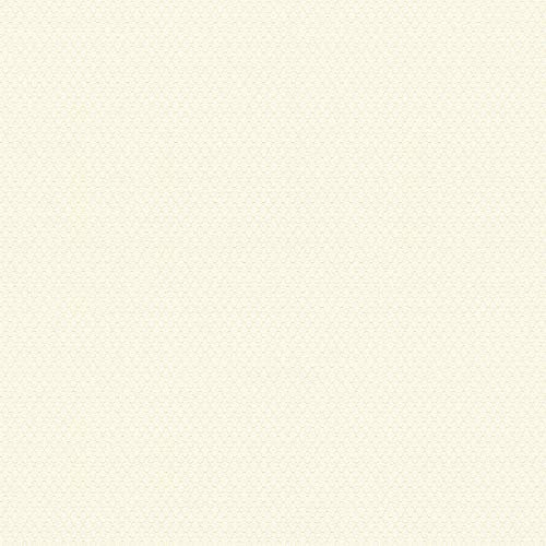 BRICOFLOR Papier peint intissé | Papier peint uni - Tapisserie chambre, Papier peint chambre - Blanc | Taille 10,05 x 0,53 m = 5.33 m² BR371211P684TRL