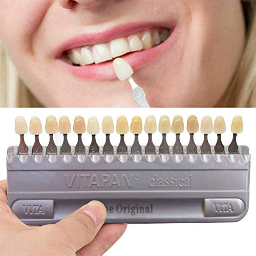 STSE 16 Colores Guía Dental del Modelo de Color de Sombra, Dientes 3D Profesionales Whitening Materiales de Seguimiento Carta de Color Oral Care Herramientas del Dentista