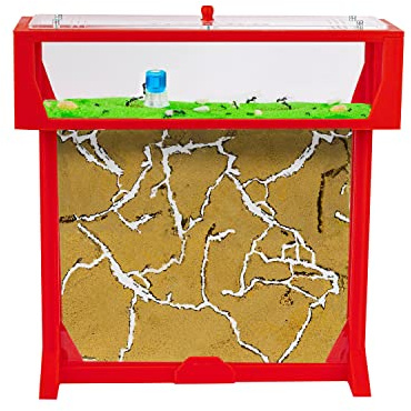 AntHouse.es - Hormiguero Natural de Arena | Kit 3D T Big 25x20x1,5 cm | Granja de Hormigas Rojo | Colonia de Hormigas Incluida