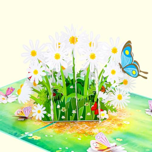 Favour Pop Up® - 3D Karte ein Bouquet von Gänseblümchen umgeben von einer Wiesenlandschaft, zum Geburtstag, zur Genesung oder als lieber Gruss. Mit Einschiebekarte zum Beschriften. TL098