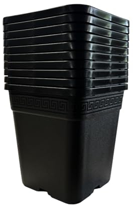 Easy Act 10er Set Pflanztopf viereckig 9L, 22,5x22,5x24 cm, Blumentopf aus Kunststoff wetterbeständig, Topf mit Ablauflöchern für kleinere Pflanzen, Kräuter und Blumen