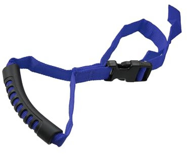 INFINAUTO Auto Haltegriff Hilfe Sicherheitsgriff Unterstützung Nylon Blau Langlebiges Material Stilvolles Design